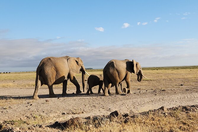3-Day Amboseli National Park Safari Tour - Frequently Asked Questions