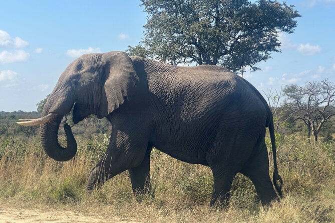 3 Day Kruger National Park End With Panaroma - Frequently Asked Questions