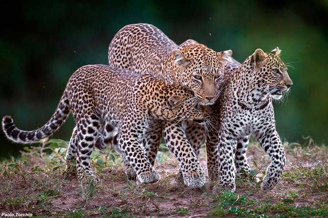 3-Day Masai Mara National Park Deluxe Tour - Frequently Asked Questions