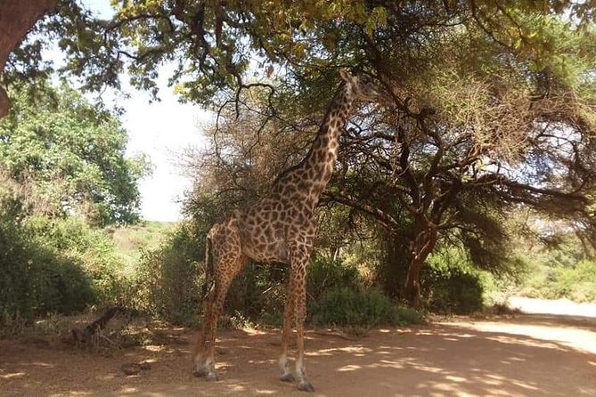 3-Day Safari to Ngorongoro, Tarangire & Lake Manyara NP - Frequently Asked Questions