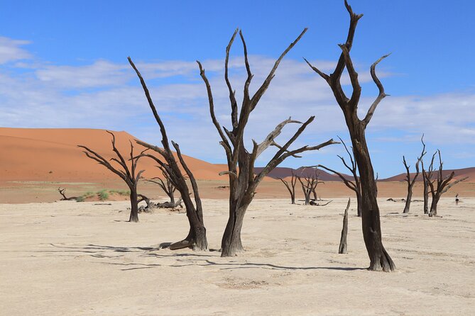 3 Day Sossusvlei Camping Schedule and Sandwich Habor - Reviews and Feedback