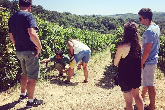 3-Day Tuscany Wine Tour Experience Review - Since You Asked