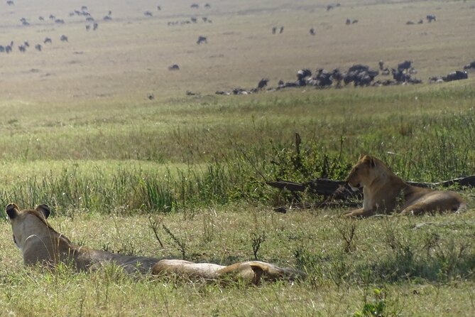 3 Days 2 Nights Budget Masai Mara Safari - Frequently Asked Questions