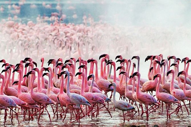 3 Days, 2 Nights Safari - Amboseli National Park and Tsavo West Adventure Safari - Important Travel Information