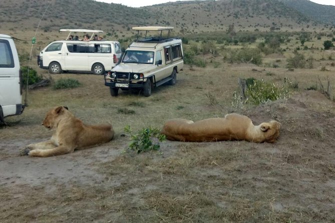 3 Days Adventurous Maasai Mara Budget Group Safari - Guest Reviews and Ratings