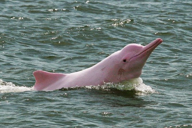 3 Days Amazon Jungle Tour With Pink Dolphin Watch From Iquitos - Questions About Your Stay