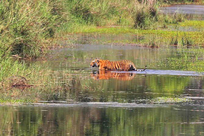 3 Days and 2 Nights Chitwan National Park Safari Tour in Pokhara - Important Information