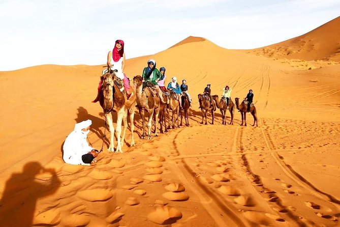 3 Days Desert Tour From Fes to Marrakech via Merzouga - Arrival in Marrakech
