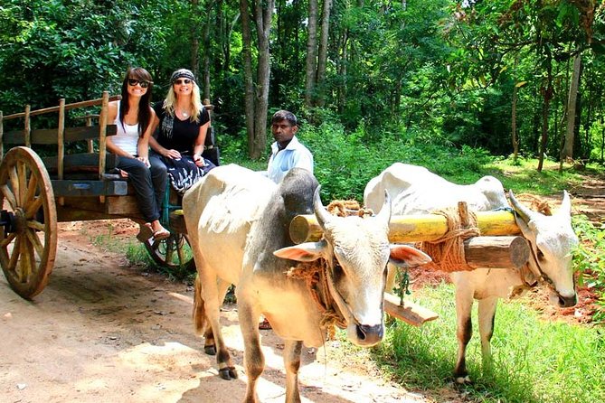3 Days Glimpse Of Sri Lanka - Customer Reviews and Feedback