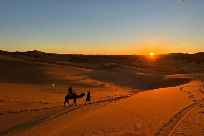 3 Days Group Tour From Marrakech to Merzouga Desert - Customer Testimonials