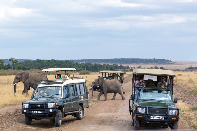 3 Days Luxury Safari Tour in Tanzania - Travel Considerations