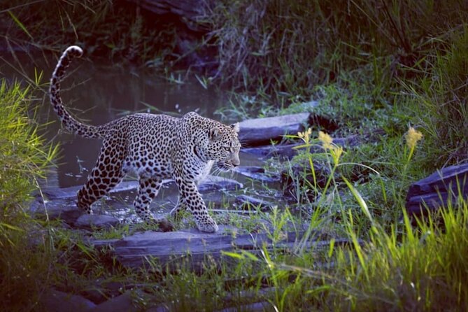 3-Days Masai Mara 4 X 4 Safari From Nairobi - Booking and Preparation Tips