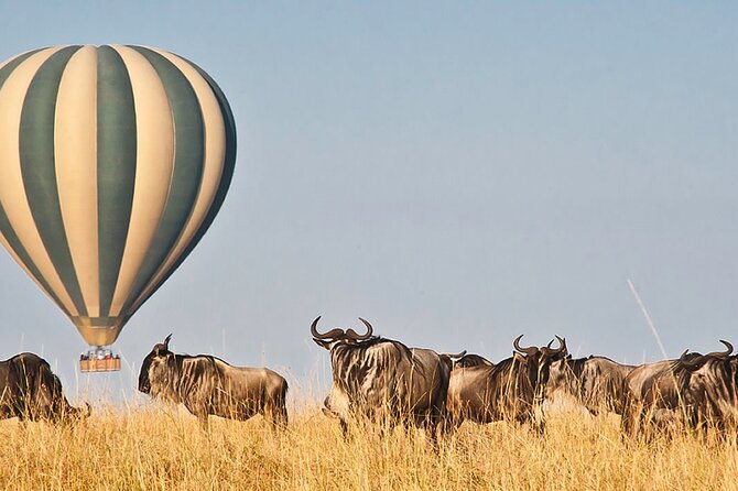 3 Days Private Tour in Maasai Mara - Frequently Asked Questions