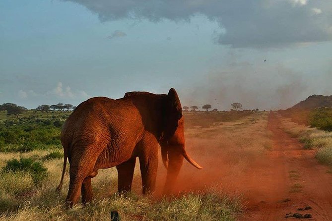 3 Days Safari Tsavo East and Taita Hills (Saltlick Lodge) - Booking Information
