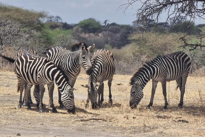 3 Days Serengeti & Ngorongoro Group - Customer Reviews