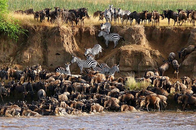 3 Days-Tarangire, Ngorongoro & Lake Manyara: Camping Joint Safari. - Frequently Asked Questions