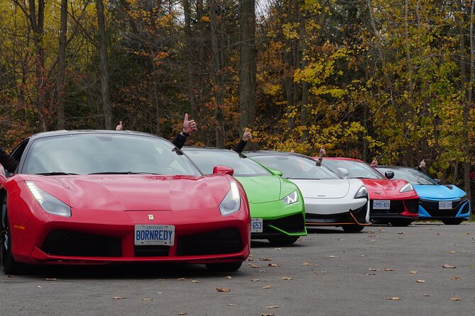 3 Hour Exotic Car Tour Driving 4 to 5 Super Cars - Customer Reviews and Ratings