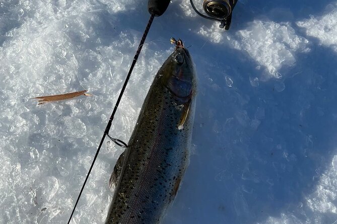 3 Hour Ice Fishing Experience - Tips for a Successful Trip