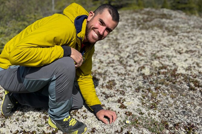 3 Hour Naturalist Walking Tour in Denali National Park - Recommendations for Future Travelers