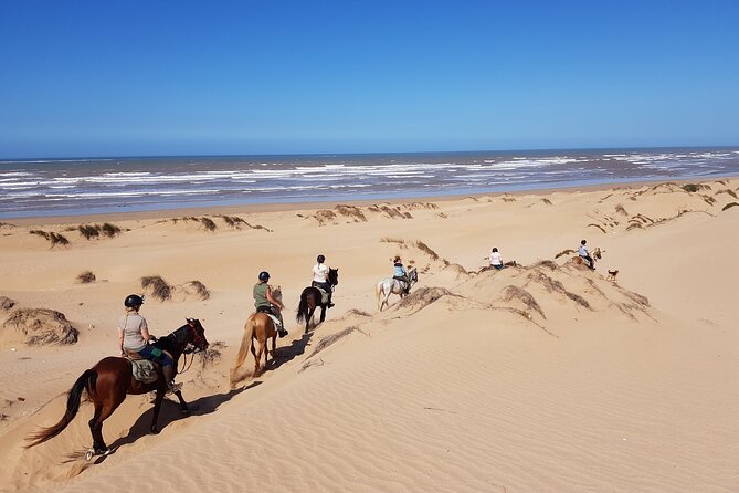 3-Hour Private Ride Between Beach and Dunes - Frequently Asked Questions