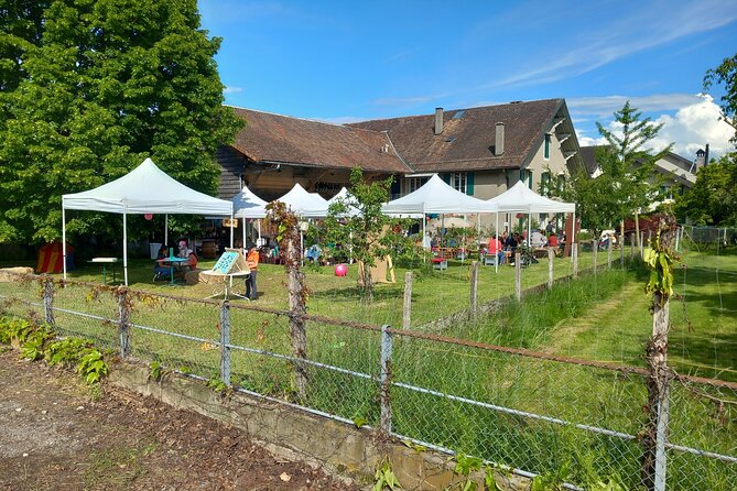 3 Hour Private Tour Countryside Vineyards With Local Wine Tasting - Exploring Countryside Vineyards