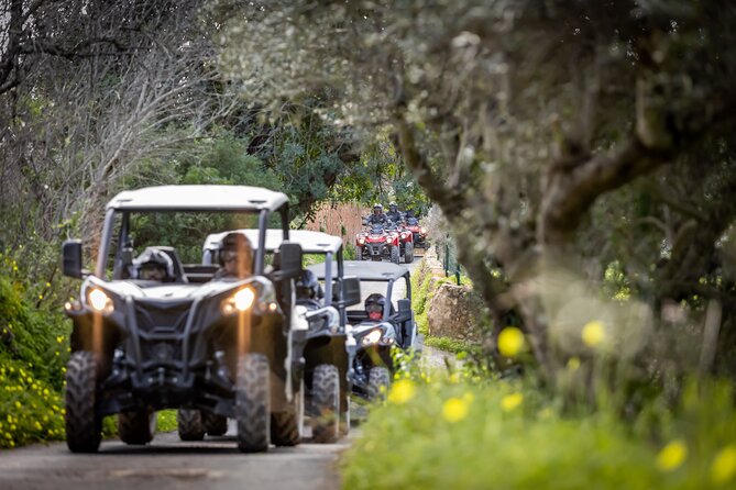 3-Hour Tour by Buggy or Quad in the Algarve - Accessibility Considerations