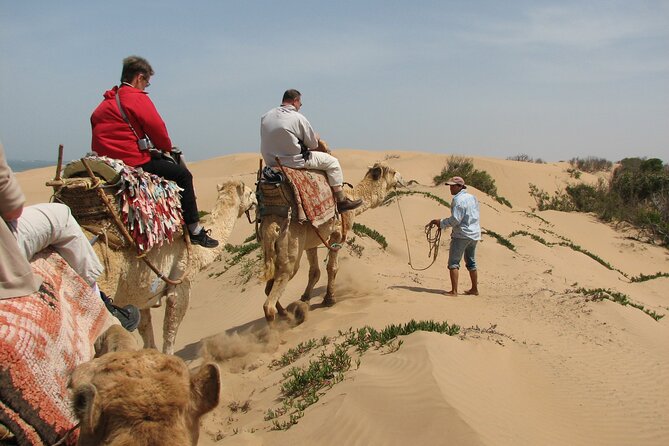 3 Hours Camel Ride in Essaouira With Dinner and Overnight in Berber Camp - Pricing and Booking Guidelines