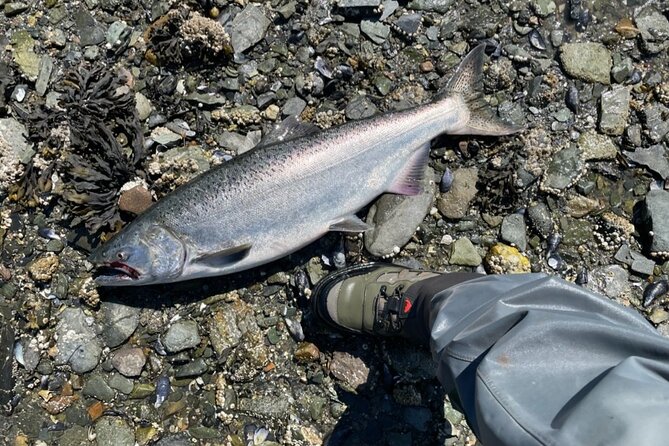 3 Hours Fishing Experience Class in Juneau - Booking and Cancellation Policies