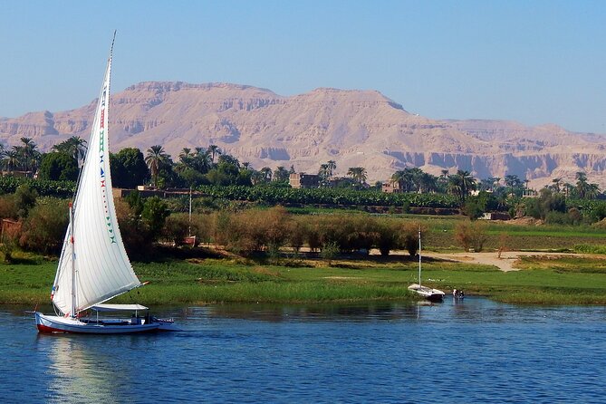 3 Nights Movenpick Royal Lily Nile Cruise From Aswan - Customer Reviews and Ratings