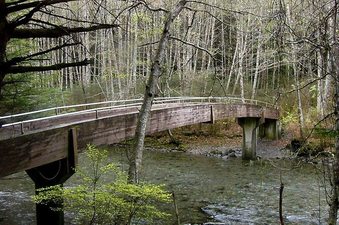 30 Minute Tour of Totem Park | NATIONAL PARK - Sitkas Tlingit Culture and History