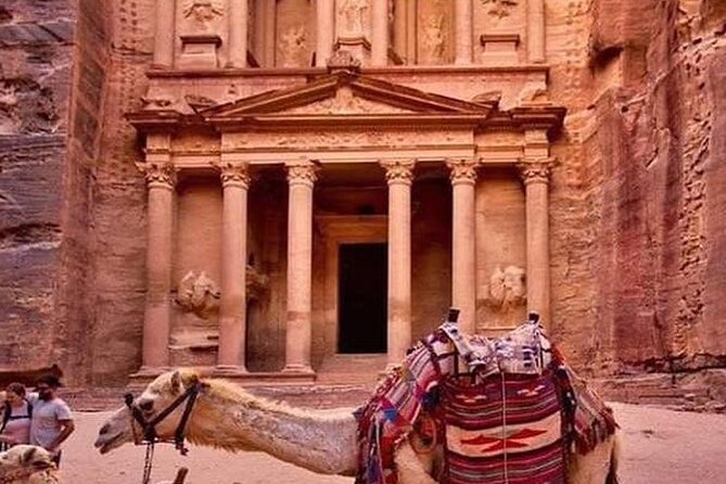 3DAYS Tour Petra & Wadi Rum From Amman, Dead Sea or Amman Airport - Ratings and Reviews