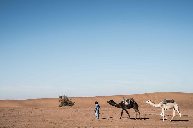 4 Day Desert Tour From Fez to Marrakech Through Merzouga, Valleys & Ouerzazat - Frequently Asked Questions