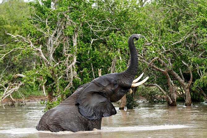 4 Day Kruger National Park and Panorama Route Safari - Frequently Asked Questions