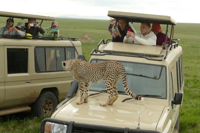 4-Day Lodge Private Tour to Tarangire, Serengeti and Ngorongoro - Travel Tips and Recommendations