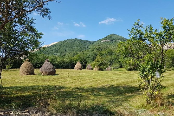 4-Day Motorcycle Adventure Ride Through Transylvania From Cluj - Safety and Preparation Tips