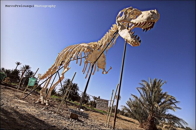 4 Day Private Tour From Fes to Merzouga Desert and Marrakech - Customer Reviews