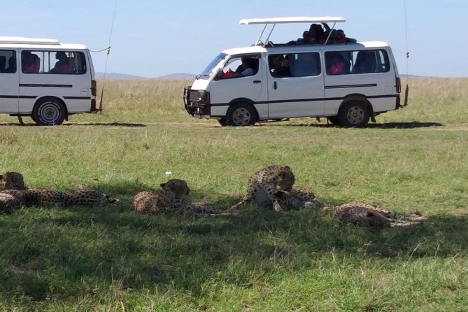 4-Day Small Group Maasai Mara and Lake Nakuru Safari - Why Choose This Safari