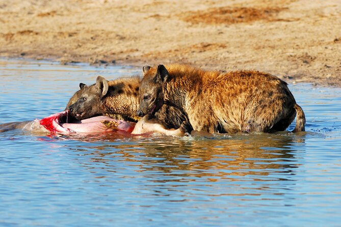 4-Day Tour to Tarangire, Serengeti and Ngorongoro - Frequently Asked Questions