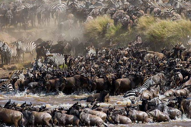 4-Days Adventure Camping Safari to Tarangire, Serengeti & Ngorongoro - Why Choose This Adventure Safari