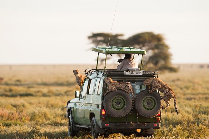 4 Days Experience Big Five in Tarangire, Serengeti & Ngorongoro Safari - Reviews and Ratings