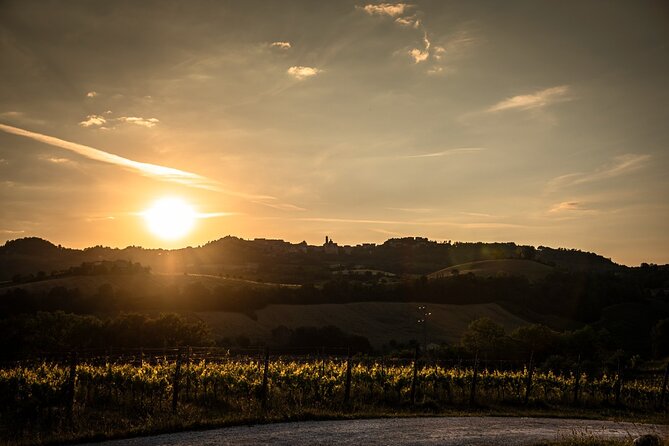 4 Days Guided E-Bike Tour in Ascoli Piceno - Traveler Reviews