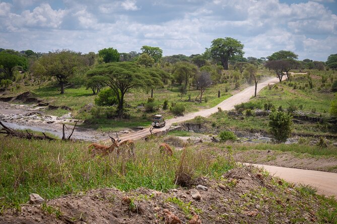 4 Days Lodge &Camping Tarangire,Serengeti, Ngorongoro Safari Tour - Safari Experience Overview