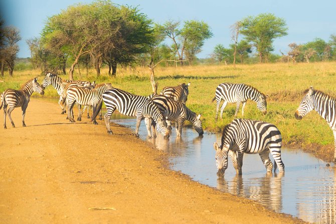 4 Days Lodge Safari - Booking and Cancellation Policy