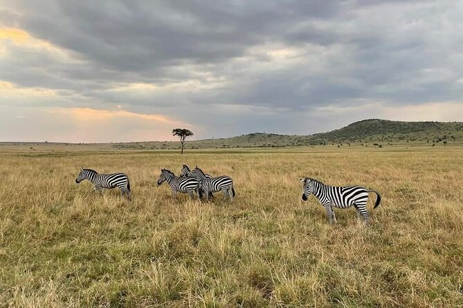 4 Days Masai Mara & Lake Nakuru Group Joining Safari - Frequently Asked Questions