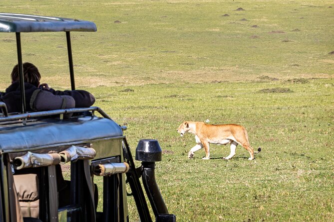 4 Days Private Lodge Safari - Why Choose Safari Soles