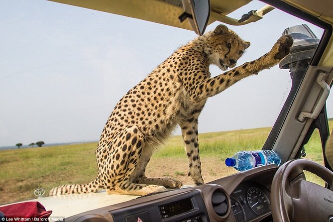 4 Days Tanzania National Parks Private Safari From Zanzibar - Frequently Asked Questions