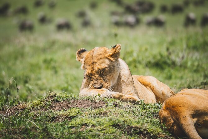 4 Days Tarangire, Serengeti and Ngorongoro Crater Camping Safari - Frequently Asked Questions