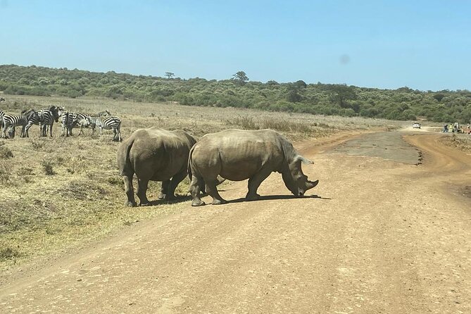 4 Days Tour Landcruiser in Masai Mara and Lake Nakuru - Frequently Asked Questions