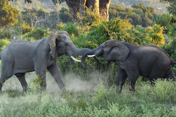 4 Days Victoria Falls Safari Tour & Chobe National Park Game Drive - Frequently Asked Questions
