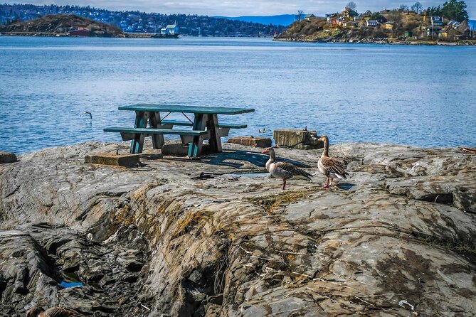 4 Hours Island Hopping Tour in Oslo - Important Considerations